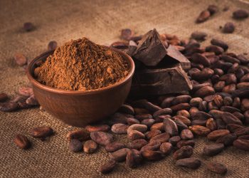 Finnish company exploring cell-cultured cocoa