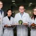High pressure, ultrasound and UV light can keep food fresh and tasty for much longer