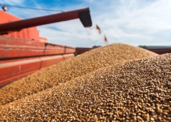 More than 10M tonnes of food products exported through ‘grain corridors’