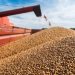 More than 10M tonnes of food products exported through ‘grain corridors’