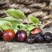 California Prune Board champions ‘California Cuisine’ trend