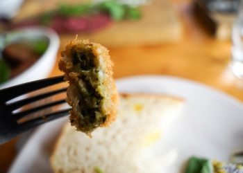 Food pioneers Sophie’s Bionutrients and NewFish join forces to develop dairy alternatives from microalgae