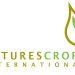 Natures Crops International achieves B Corp status