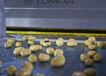 Patates işleyicileri, en gelişmiş buharlı soyma çözümlerini kullanarak kârlılık ve sürdürülebilirliği iyileştiriyor