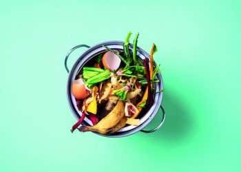 Why the food industry needs to think about sustainability