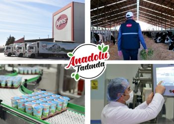 Aynes’in yeni sahibi Türkiye Tarım Kooperatifleri oldu