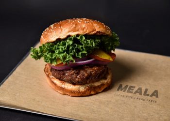 Functionally charged proteins clean up labels in meat alternatives