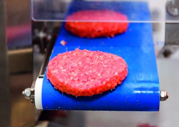 Meat slicing machine accelerates the food industry