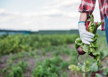 Temmuz ayı itibariyle yıllıklandırılmış tarım ürünleri ihracatı 7,6 milyar dolara ulaştı