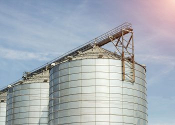 Bunge, Rusya’da bulunan yağlı tohum işleme tesisini satmayı kabul etti