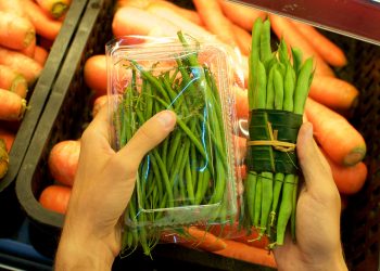 Sustainable packaging material market is expected to display a steady growth by 2028