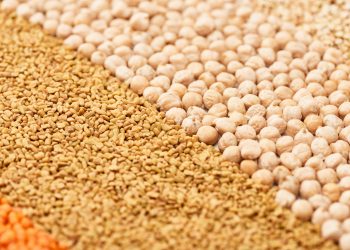 Bakliyat ve yağlı tohumlar ihracatı Ege’de 1 milyar dolar barajına yaklaştı