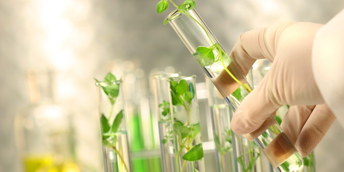 BioBetter lands $10M funding to relieve cultivated meat’s bottleneck using tobacco plants