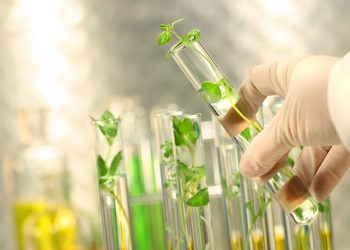 BioBetter lands $10M funding to relieve cultivated meat’s bottleneck using tobacco plants