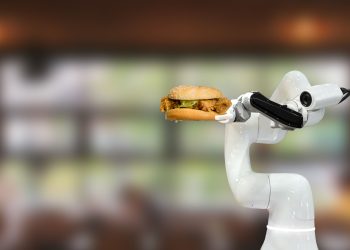 How aI and robotics are transforming the future of the food industry automation processes