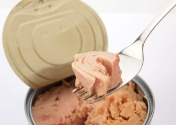 unMEAT introduces fish-free tuna, the next evolution in plant-based food