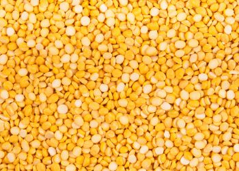 AGT Foods partners in new higher protein yellow pea variety for 2023 production