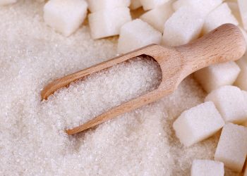 Konya Şeker, 500 bin ton şeker üretecek