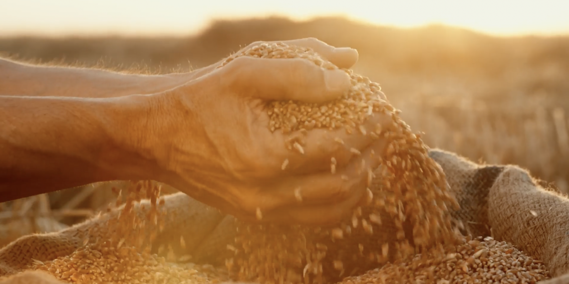 Tiryaki Agro, geride bıraktığı hasat mevsimine özel olarak reklam filmi hazırladı