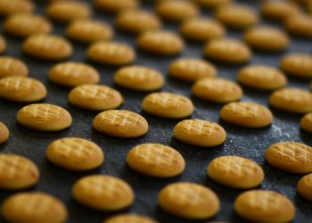 Ülker’in bisküvilik un üretimine uygun buğday geliştirme projesinde yeni bir aşamaya geçildi