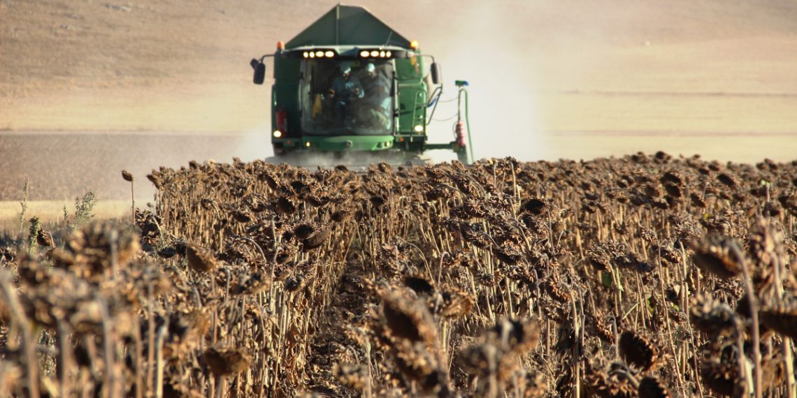 Tarımsal girdi fiyat endeksi yıllık yüzde 135,06 arttı