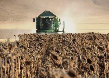 Tarımsal girdi fiyat endeksi yıllık yüzde 135,06 arttı