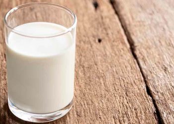 Nestlé explores emerging technologies for animal-free dairy proteins