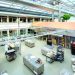 Puratos partners with Shiru on egg replacements for bakery