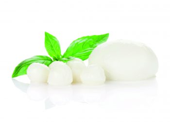 Cheese market see incredible growth
