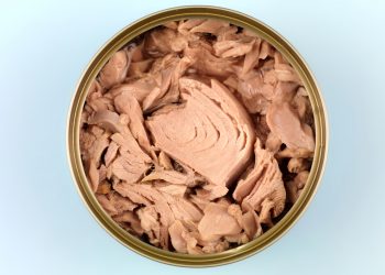 Dardanel, sermaye artırımına iştirak etme kararı aldı