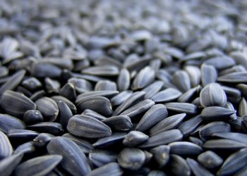 SunOpta announces strategic sale of its Sunflower & Roasted Snacks Business to Pacific Avenue Capital