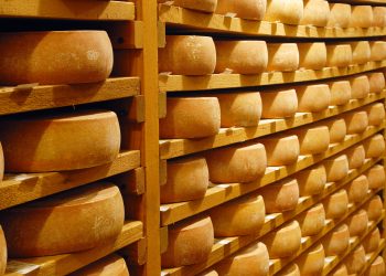 Amalthea and Ausnutria strengthen collaboration