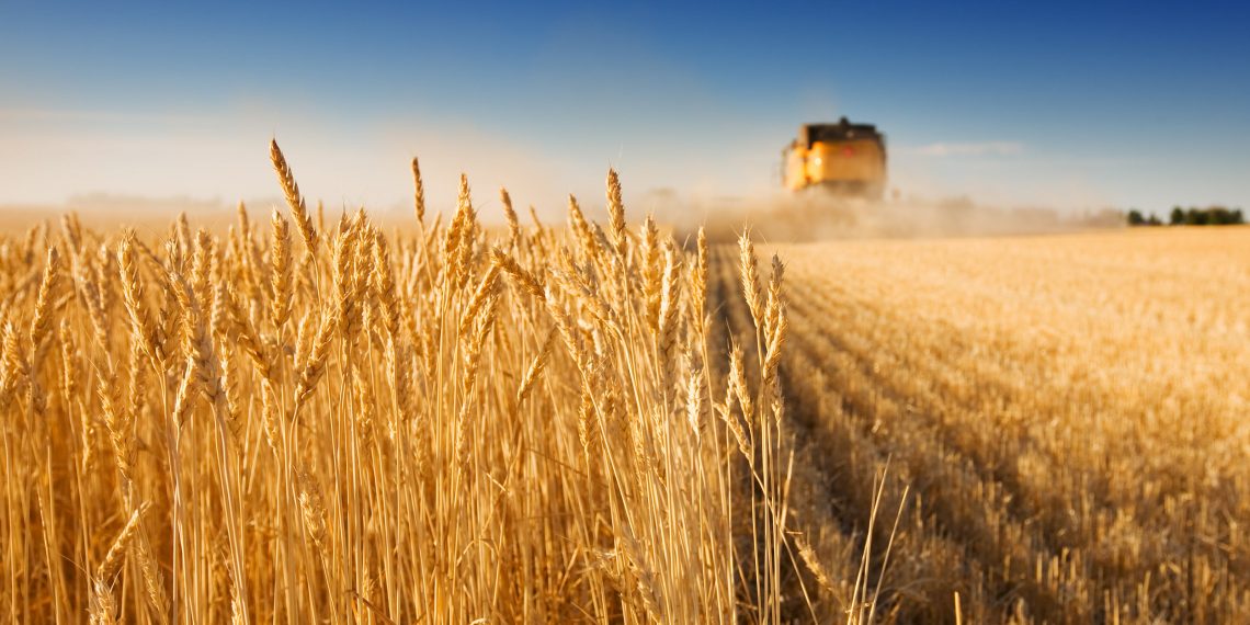Viterra completes its acquisition of Gavilon