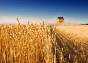 Viterra completes its acquisition of Gavilon