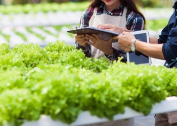 IFF To Showcase ‘Innovate The Future Of Food’ Theme At Gulfood Manufacturing Show