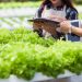 IFF To Showcase ‘Innovate The Future Of Food’ Theme At Gulfood Manufacturing Show