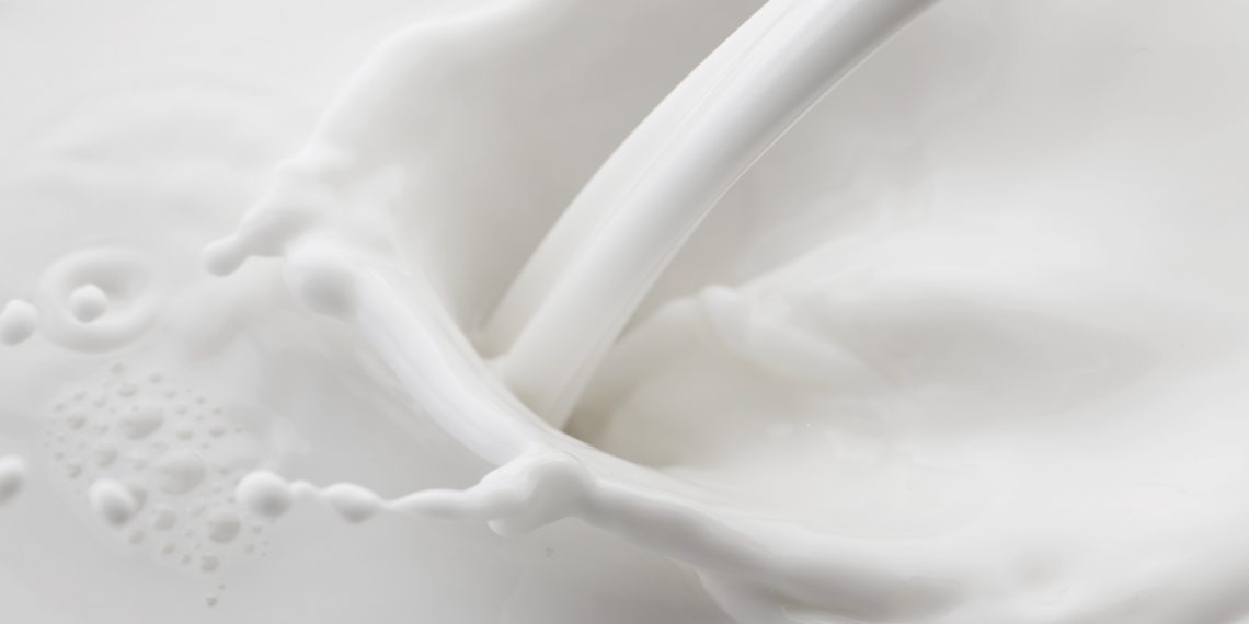 Dairy sector reports progress on global pathways to dairy net zero climate initiative at COP27