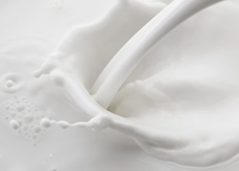 Dairy sector reports progress on global pathways to dairy net zero climate initiative at COP27