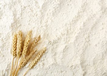 Söke halka arz oluyor