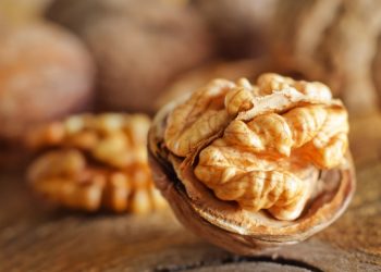 2022 yılında yerli ceviz hasadı yüzde 30 arttı