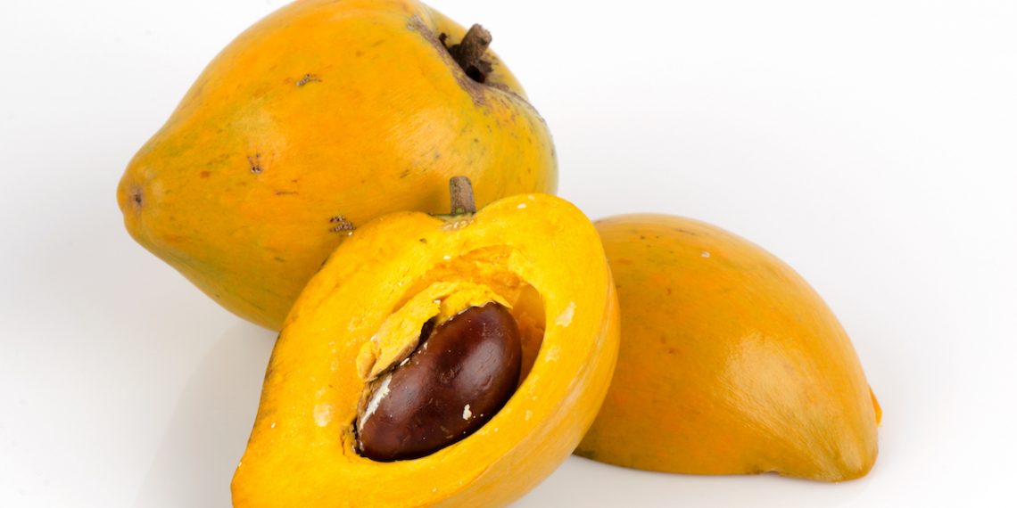Fropie’den lucuma tozlu, şekere sağlıklı alternatif