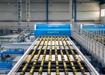 Özler Tarım, TOMRA Food teknolojisi ile global pazarda rekabet gücünü arttırıyor