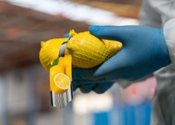 Ozler Tarim increases global competitiveness and capacity by investing in TOMRA Food’s sorting and grading solutions