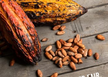 Inexpensive but fair: Chocolates from Gunz