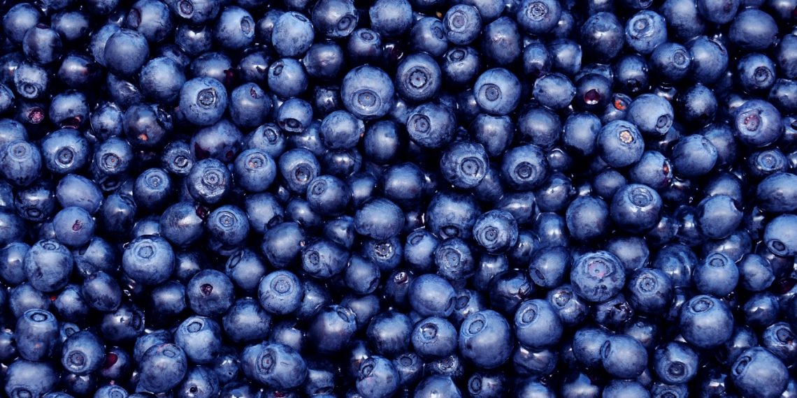 Topraksız tarım yöntemi ile yetişen Blueberry ile sağlık ve lezzet bir arada
