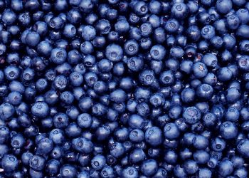 Topraksız tarım yöntemi ile yetişen Blueberry ile sağlık ve lezzet bir arada