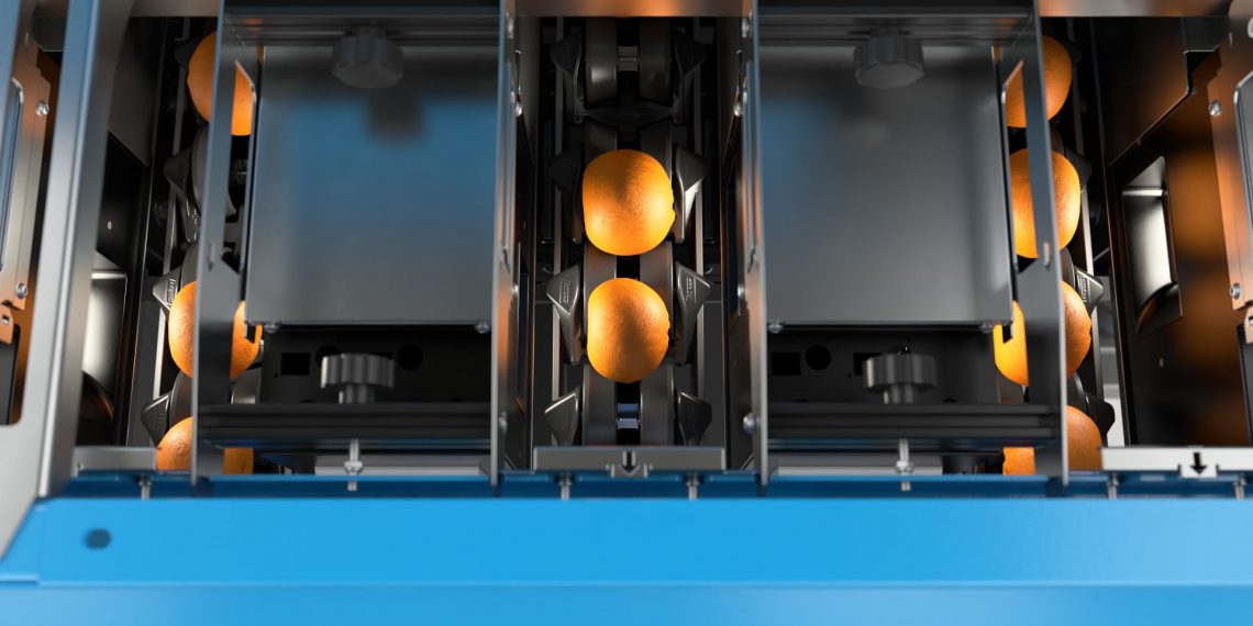 How citrus packhouses can improve profitability with the latest sorting and grading solutions
