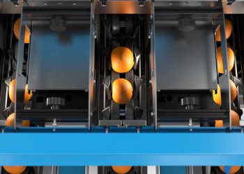 How citrus packhouses can improve profitability with the latest sorting and grading solutions