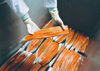 Seafood Processing Global sets to be the largest edition ever held