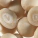 Liquid gold: technological solutions for drying and protecting actives